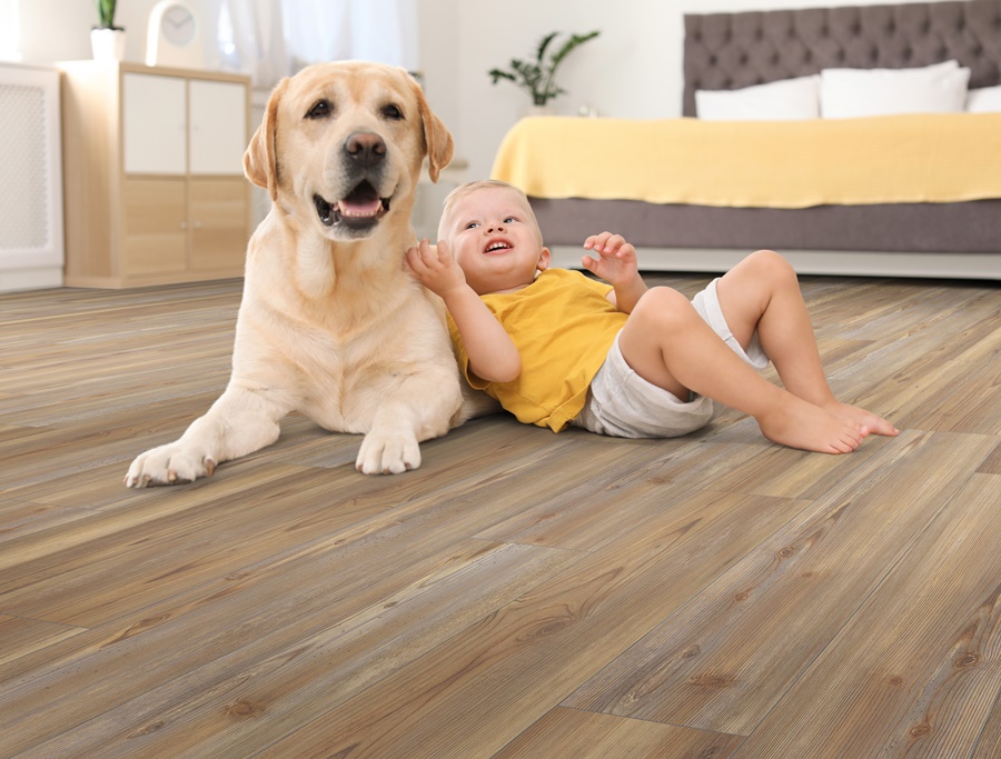 Axiscor Axis Prime Oak Natural Room Scene Floor Sample On It