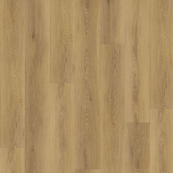 Axiscor Elevate Mist Floor Sample