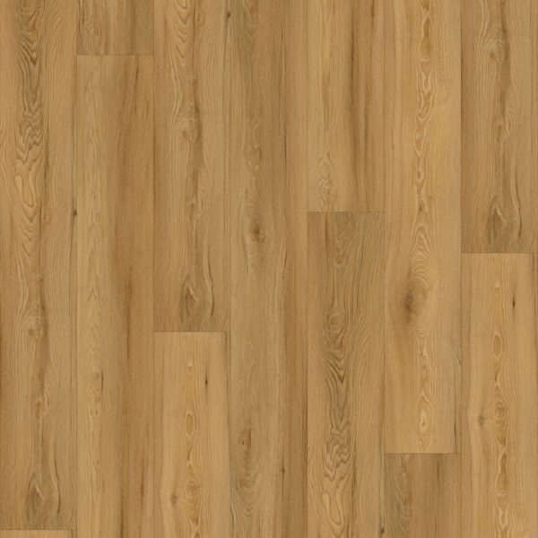 Axiscor Elevate Canyon Floor Sample